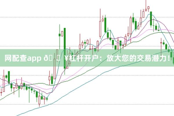 网配查app 🔥杠杆开户：放大您的交易潜力！