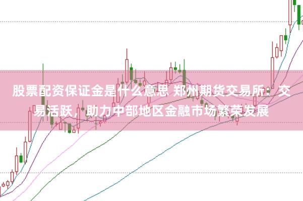 股票配资保证金是什么意思 郑州期货交易所：交易活跃，助力中部地区金融市场繁荣发展