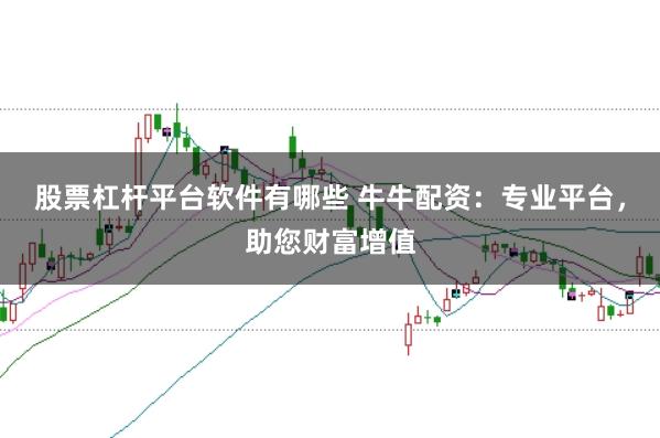 股票杠杆平台软件有哪些 牛牛配资：专业平台，助您财富增值