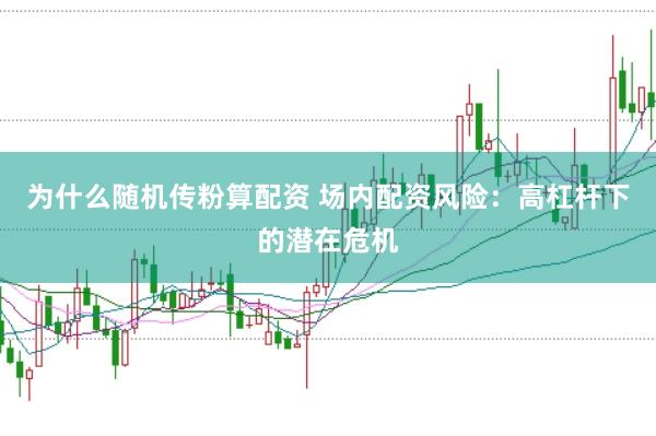 为什么随机传粉算配资 场内配资风险:高杠杆下的潜在危机