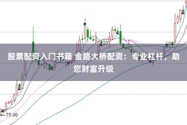 股票配资入门书籍 金路大桥配资：专业杠杆，助您财富升级