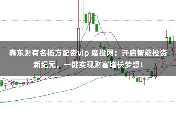 鑫东财有名杨方配资vip 魔投网：开启智能投资新纪元，一键实现财富增长梦想！