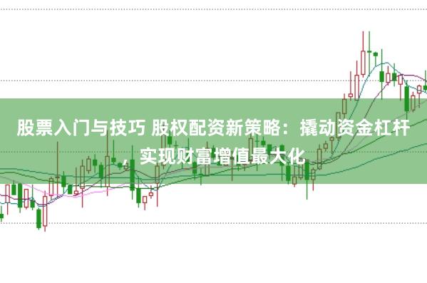 股票入门与技巧 股权配资新策略：撬动资金杠杆，实现财富增值最大化