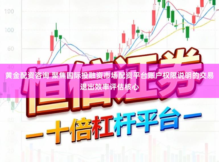 黄金配资咨询 聚焦国际投融资市场配资平台账户权限说明的交易退出效率评估核心