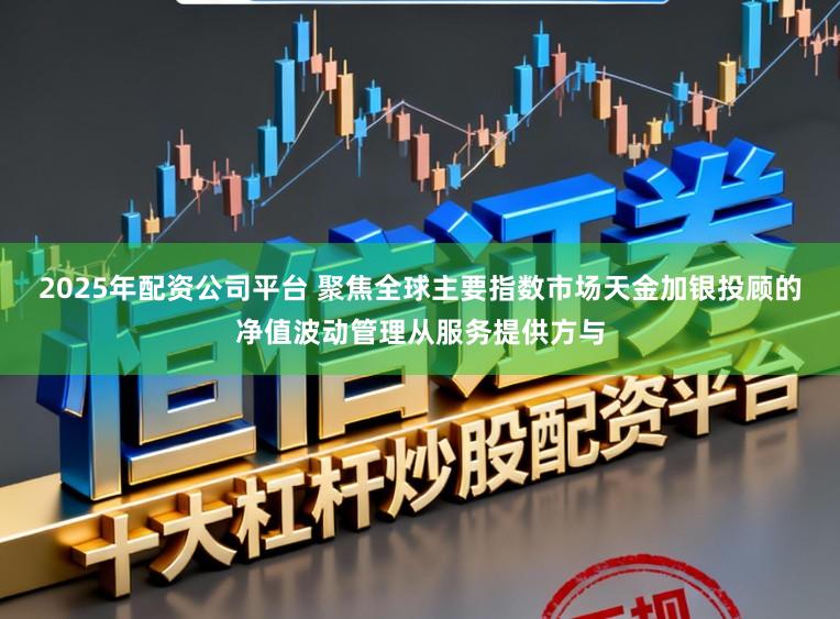 2025年配资公司平台 聚焦全球主要指数市场天金加银投顾的净值波动管理从服务提供方与