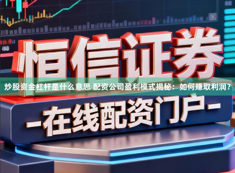 炒股资金杠杆是什么意思 配资公司盈利模式揭秘:如何赚取利润?