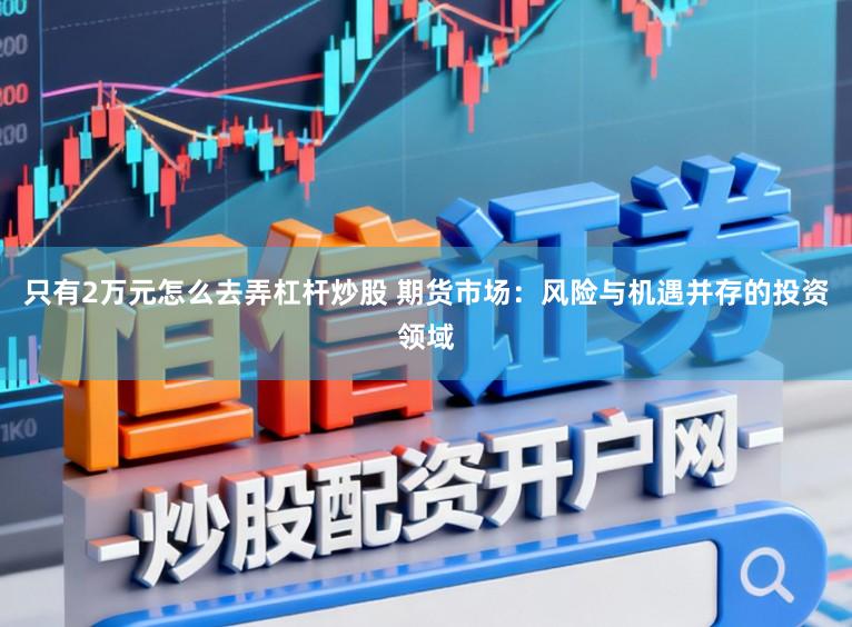 只有2万元怎么去弄杠杆炒股 期货市场：风险与机遇并存的投资领域